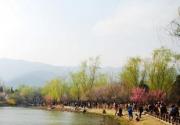 北京植物园踏青赏花摄影行