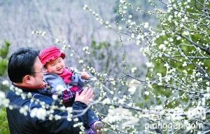 北京植物园里寻找“桃花源”[墙根网]