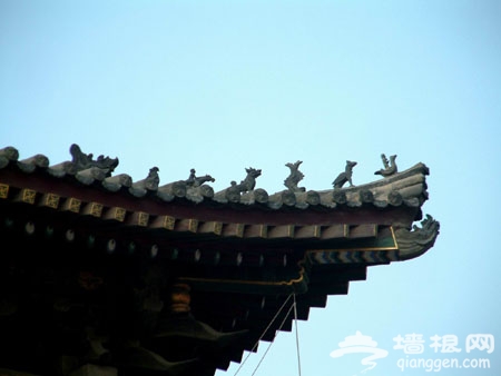 带着DC去踏青 春季摄影全攻略[墙根网]