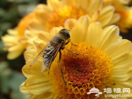 带着DC去踏青 春季摄影全攻略[墙根网]