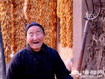 带着DC去踏青 春季摄影全攻略[墙根网]