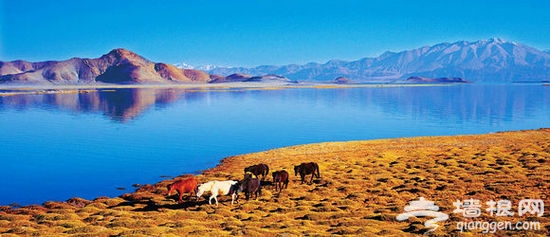 绝摄阿里 秒杀镜头的人间美景