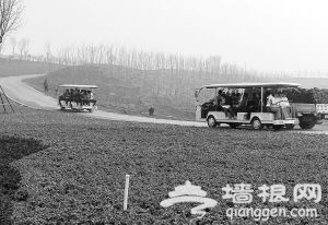 乘坐观光车既可免受步行之苦,又可欣赏美丽景色。 乘坐观光车既可免受步行之苦,又可欣赏美丽景色。