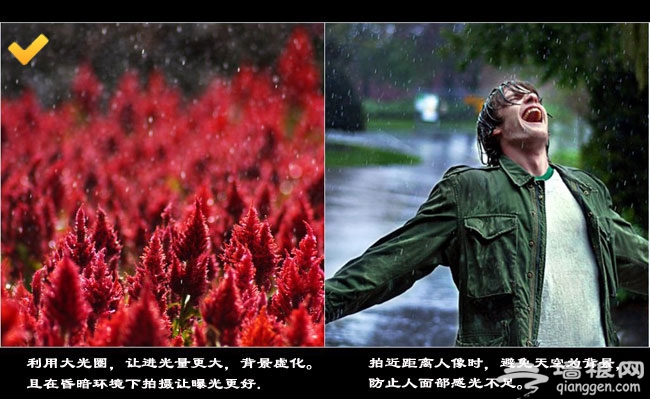 如何拍出有韵味的雨季照片[墙根网]