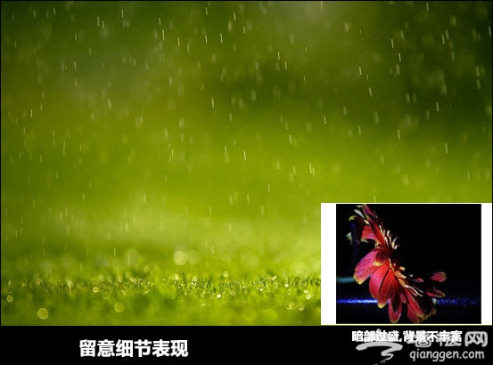 如何拍出有韵味的雨季照片[墙根网]