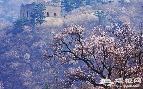 北京怀柔黄花城水长城自助游攻略(图)