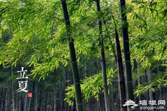 立夏要来到 你们那里有什么习俗？[墙根网]