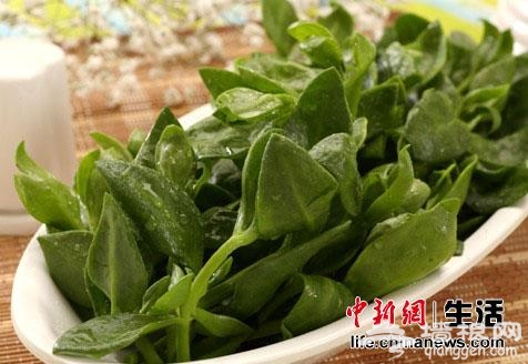 当时尚与激情相遇 体验新辣道的火锅革命[墙根网]