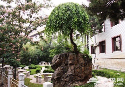 五一平谷休闲游 平谷赏花星级酒店住宿推荐