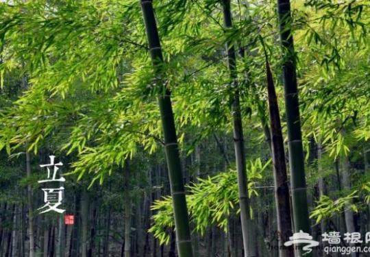 立夏要来到 你们那里有什么习俗？