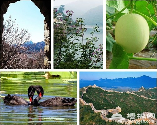 北京旅游委:五一小长假北京旅游线路推荐