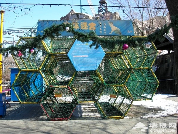 DSCN0233.JPG