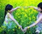 不必远行 5月北京油菜花观赏地推荐