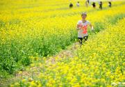 北京有片油菜花(中天瀚海农业观光园 )