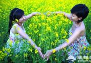 不必远行 5月北京油菜花观赏地推荐