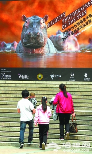 北京动物园里看影展
