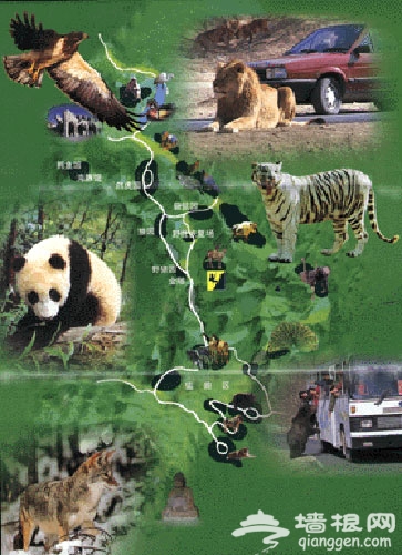 玩转延庆 最佳旅游线路推荐