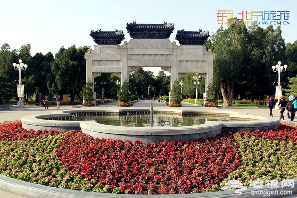 北京赏花季 中山公园郁金香盛放(赏花攻略)