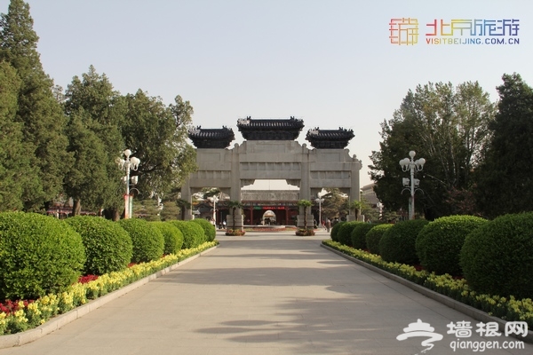 北京赏花季 中山公园郁金香盛放(赏花攻略)
