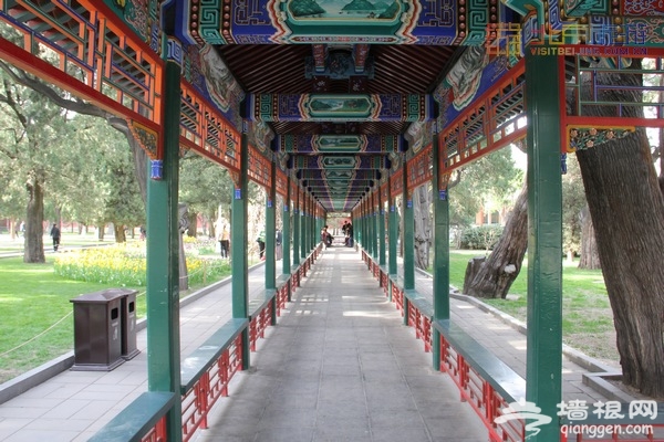 北京赏花季 中山公园郁金香盛放(赏花攻略)