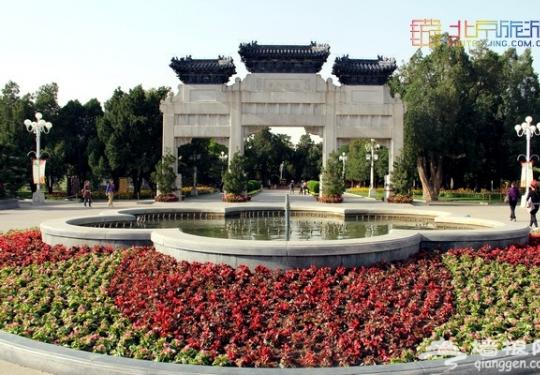 北京赏花季 中山公园郁金香盛放（赏花攻略）