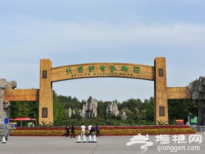 北京野生动物园 拉近人与自然的野生动物园