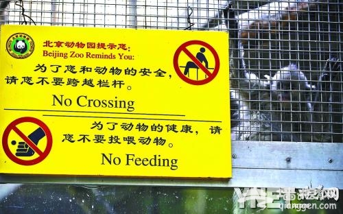 北京动物园一川金丝猴意外死亡