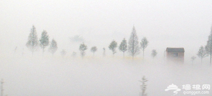 人间仙境之拍摄雾景[墙根网]