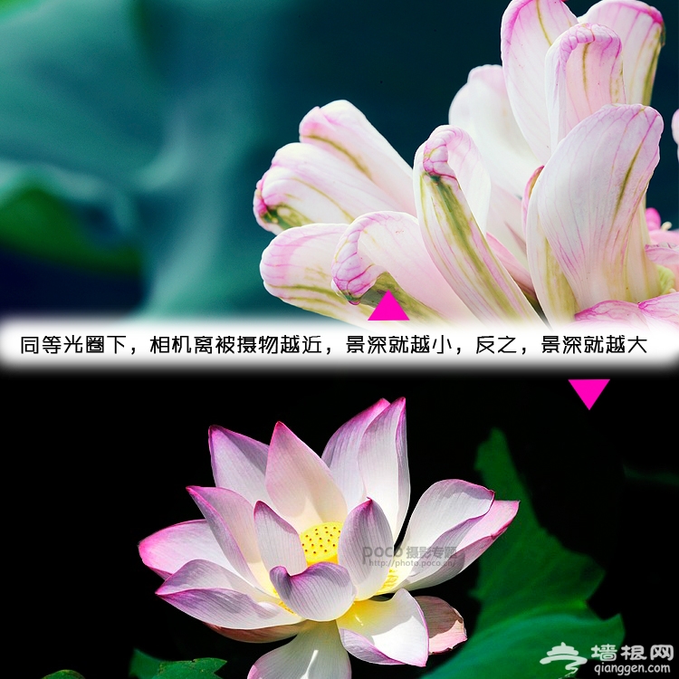 无景深不摄影 怎样有效控制景深？[墙根网]