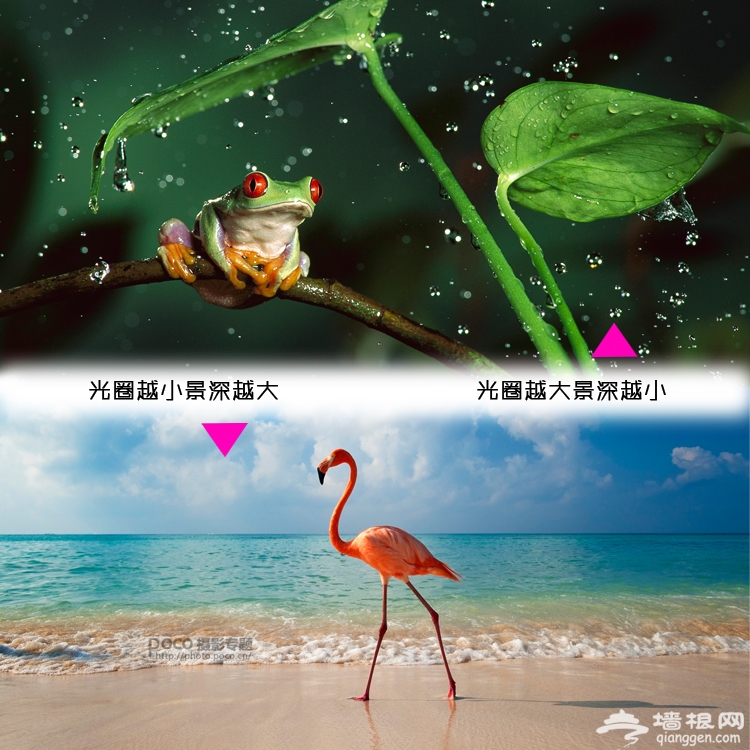 无景深不摄影 怎样有效控制景深？[墙根网]