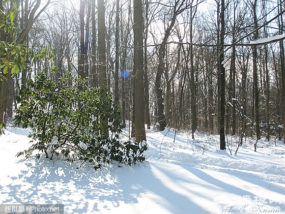 拍摄雪景如何正确曝光[墙根网]