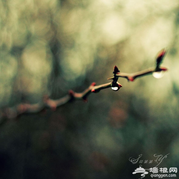 三分构图法拍摄出的样张