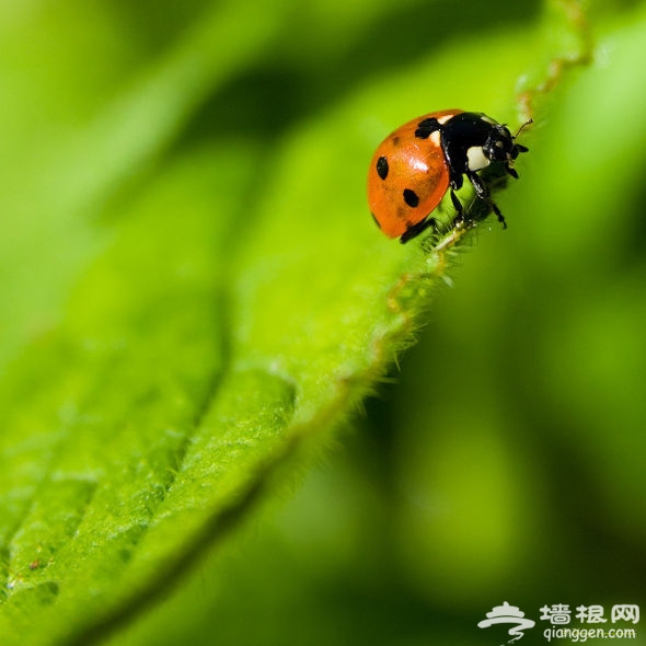 三分构图法拍摄出的样张