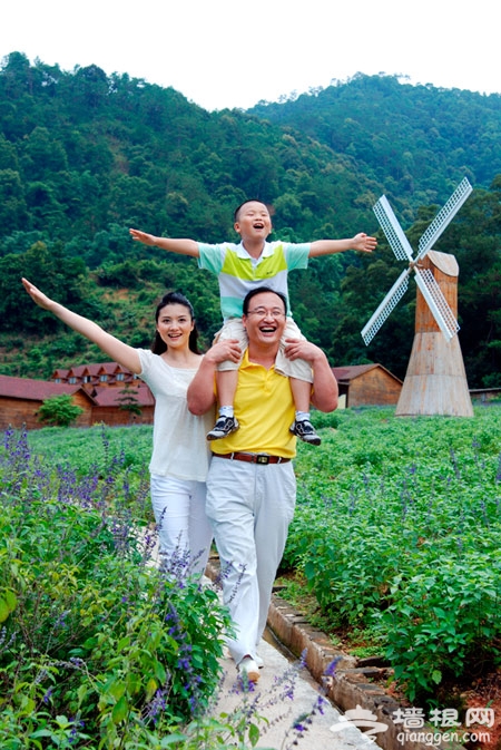 盘龙峡：紫光飘溢 薰衣草的浪漫天堂[墙根网]
