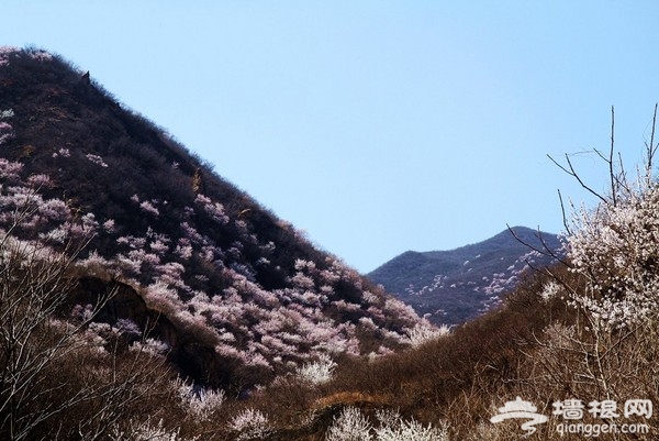爨底下景点图片 爨底下景点图片