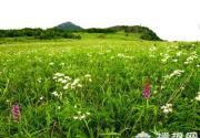 百花山