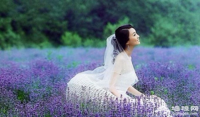 北京途牛天下信息技术有限公司 (北京)
