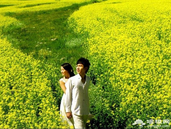 北京途牛天下信息技术有限公司 (北京)