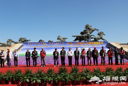 中国上海庙第二届马兰花摄影节盛大开幕