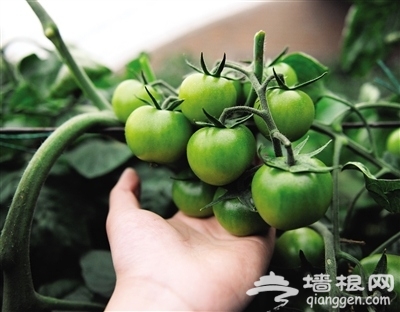 京郊游也可以很精致 探访最有新意的世外桃源
