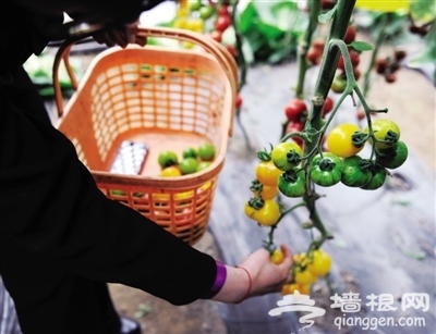 京郊游也可以很精致 探访最有新意的世外桃源