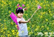 房山长沟油菜花摄影路线攻略
