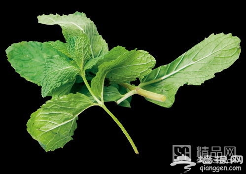 北京正宗泰国菜  一花一叶皆入菜[墙根网]