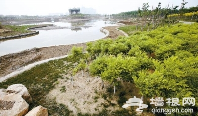 天津滨海新区临港生态湿地公园10月正式开放