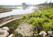 天津滨海新区临港生态湿地公园10月正式开放