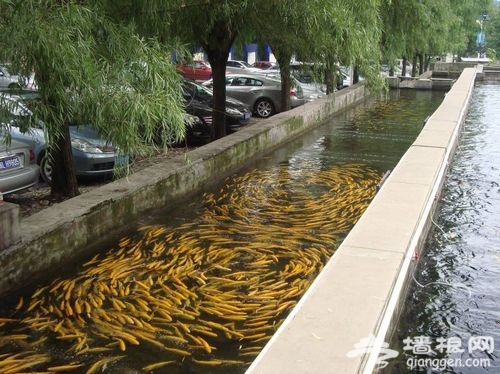 北旮旯乡情驿栈 体验纯正农家乡土气息