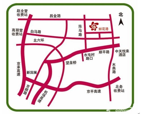 北京国际鲜花港香水百合节六月中旬开展 游玩贴士