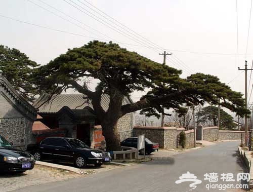 凤凰岭山庄：山水野趣 小资情调