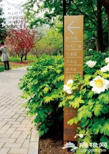 北京的日月之恋 日坛与月坛的情愫[墙根网]
