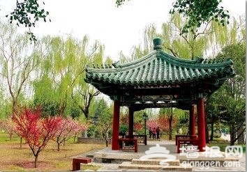 北京的日月之恋 日坛与月坛的情愫[墙根网]